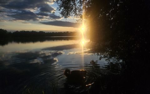 Anglersee fußläufig zu erreichen