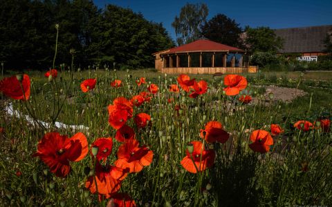 Seminarhof Drawehn Wendland 16 (2)