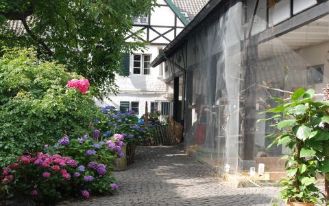 grüner Innenhof mit Walnussbaum