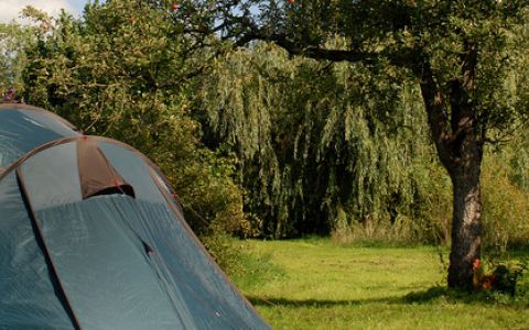 Zelten unter den Apfelbäumen