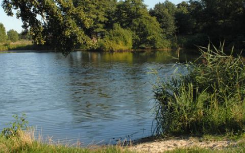 Alveser See 3km entfernt