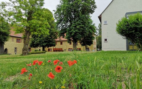 Klosterinnenhof mit Mohnblüte_klein