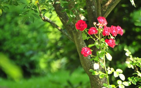 Workshops in der Natur