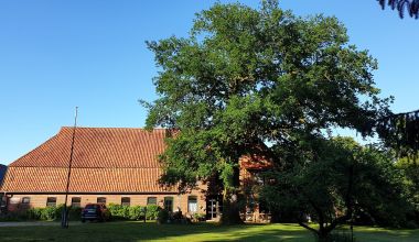Buschhof Kattendorf