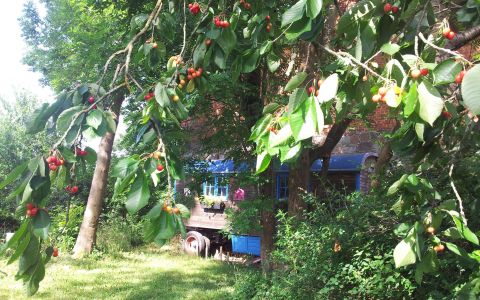 Zirkuswagen im Ananda Garten
