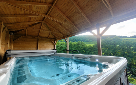 Villa Bodefeld   Zwemspa (5)