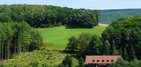 Seminarhaus im Herzen Deutschland - Gaia Retreat House