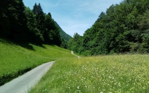 Der Weg zu uns herauf