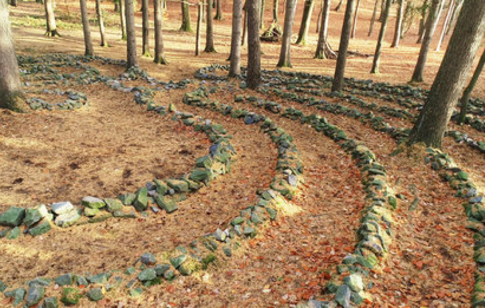 Wald - Labyrinth