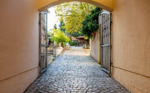 Herzliche Willkommen im Gästehaus Geiseltalsee