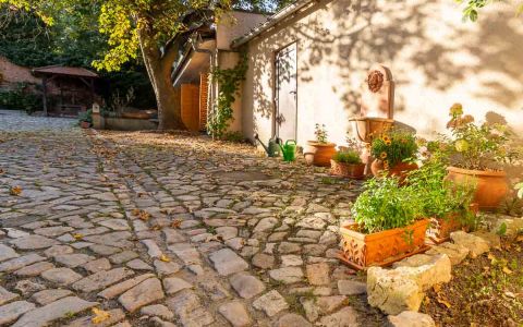 Garten mit viel Pflanzen und Impressionen