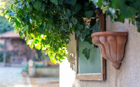 Details zum Verlieben