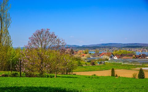 Ausblick Insel Reichenau