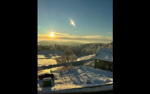 Lieblingsquartier 16