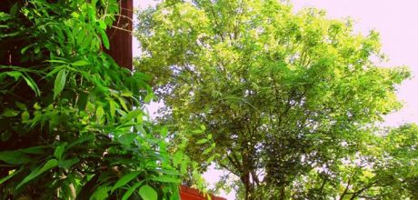 Bildungsstätte Himmighausen