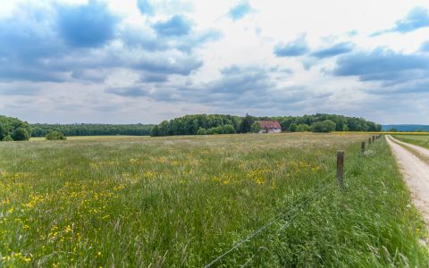 Schlosshof_Feldansicht