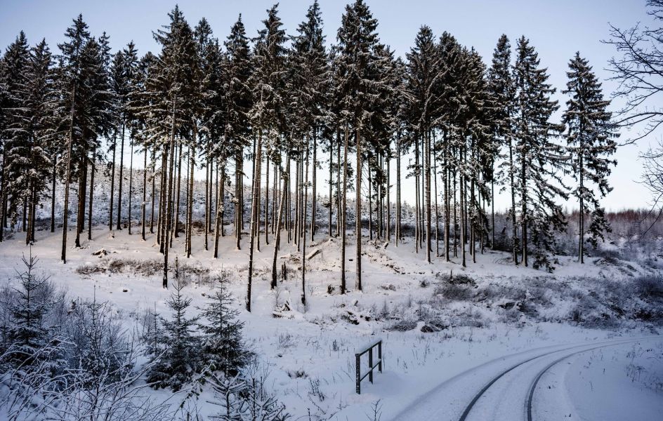 winterliche Landschaft Harz