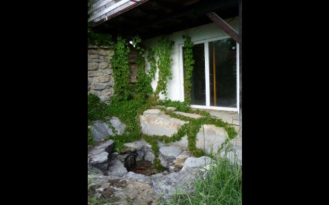 Gartenimpression II.