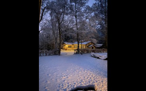 Bauwagen - 165 von 173