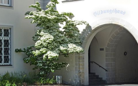 Eingang zu St. Pirmin