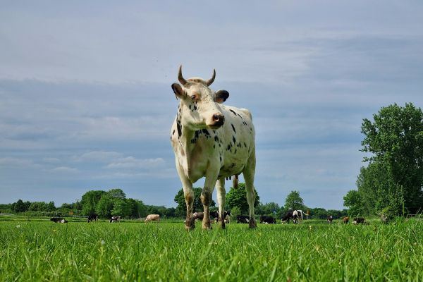 Event, Seminar und Urlaub auf dem Rouenhof