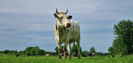 Event, Seminar und Urlaub auf dem Rouenhof